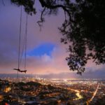 Night scene of a tree branch with simple rope swing, overlooking a large and vibrant city.