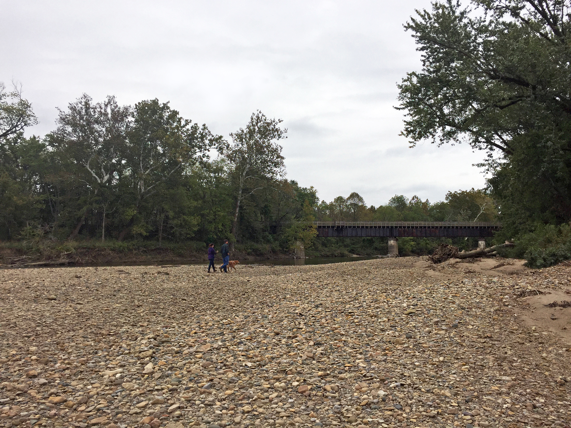 Two people walk a dog along a river bank at low tide, full of many small rocks, sticks, and other detritus.